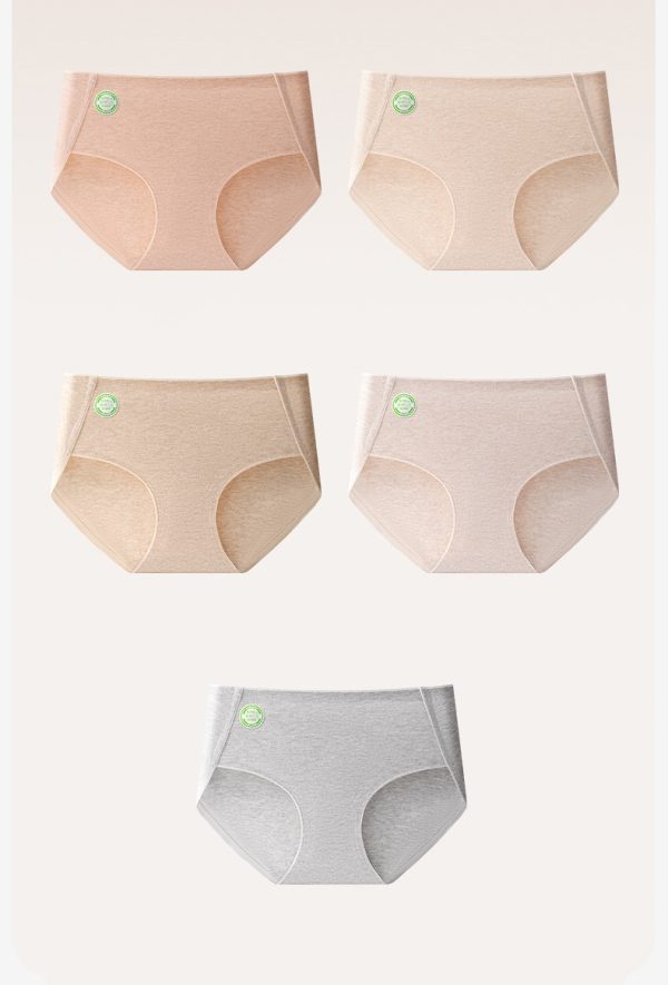 High Quality 7 A Class Raw Cotton Color 0 Dyed Nature Friendly Breathable Mid Rise Cotton Underwear for Women - 图片 5